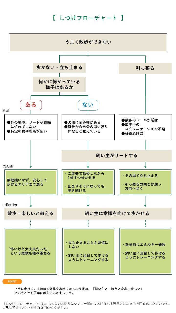 愛犬が散歩で歩かない原因とは？突然の座り込みを防ぐ最新対処法