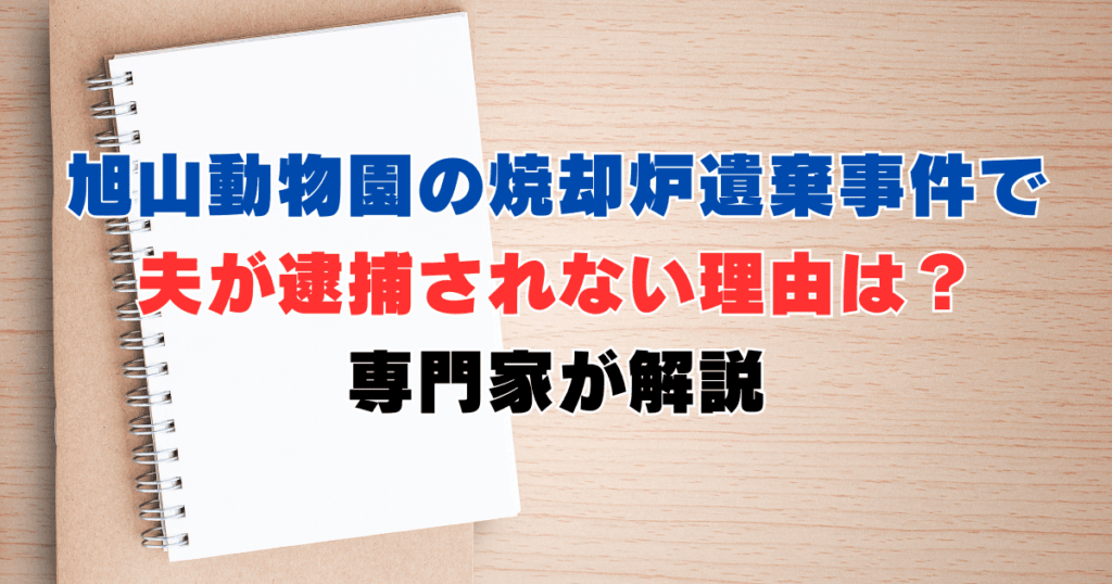 帽子の汗ジミ黄ばみを完全リセット！型崩れ防ぐオキシ漬け黄金比