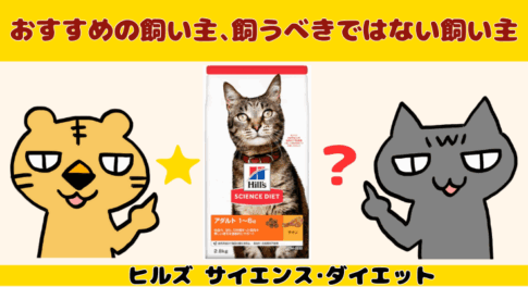 「猫と暮らしたい」を諦めない。2026年最新のサイエンスが明かす、アレルギー対応猫の真実と選択肢