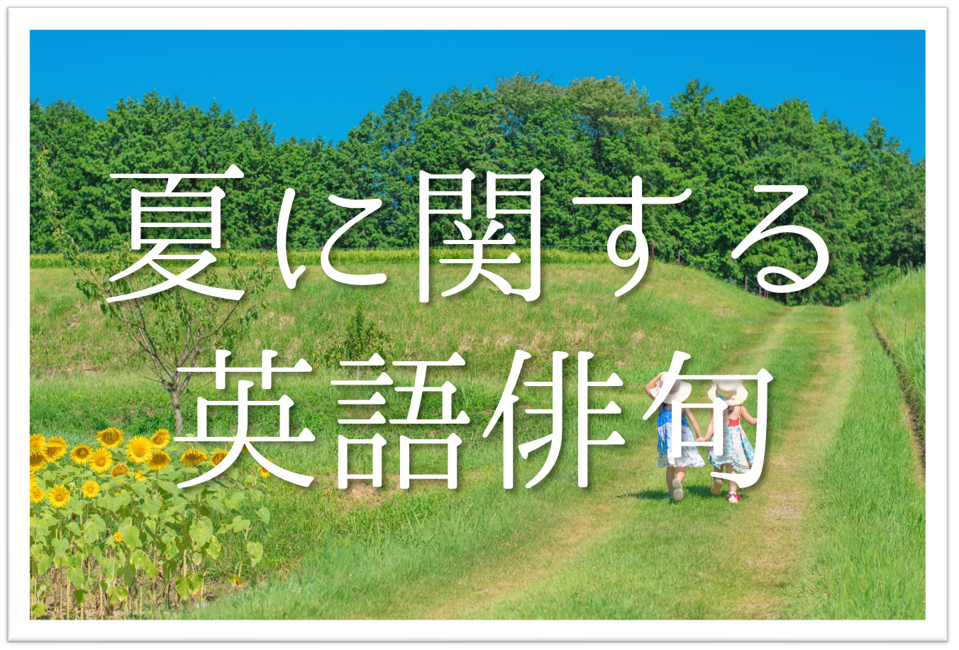 中学の夏俳句宿題を完全攻略！部活・日常の簡単作例と季語の活用術