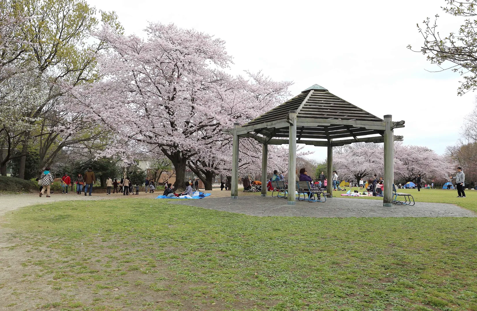 市民の森見沼グリーンセンター攻略！りすの家と混雑・駐車場完全解説