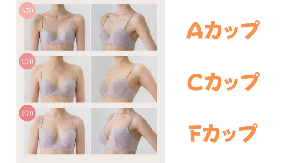 Eカップは本当に大きいのか？見た目の真実とプロが教える美胸術