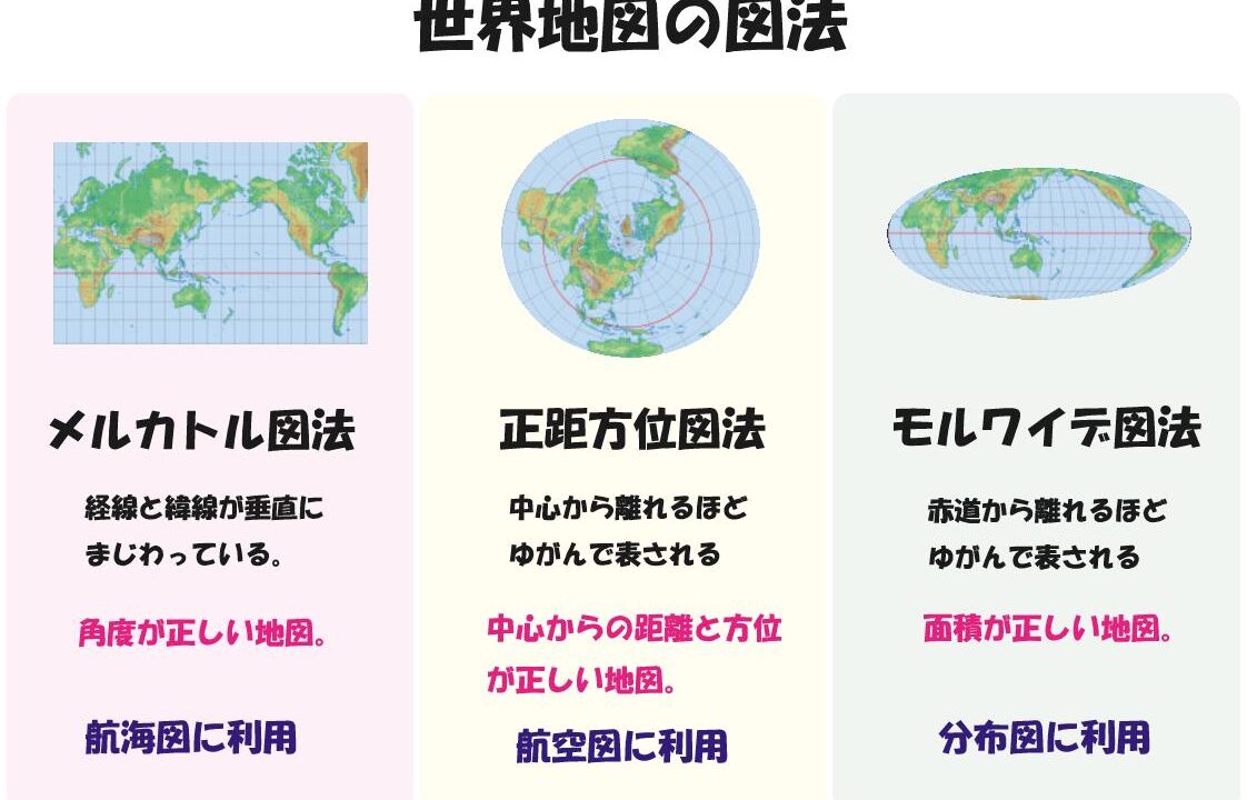 フズリナと三葉虫の違いとは？古生代の示準化石と絶滅の真相を徹底解剖