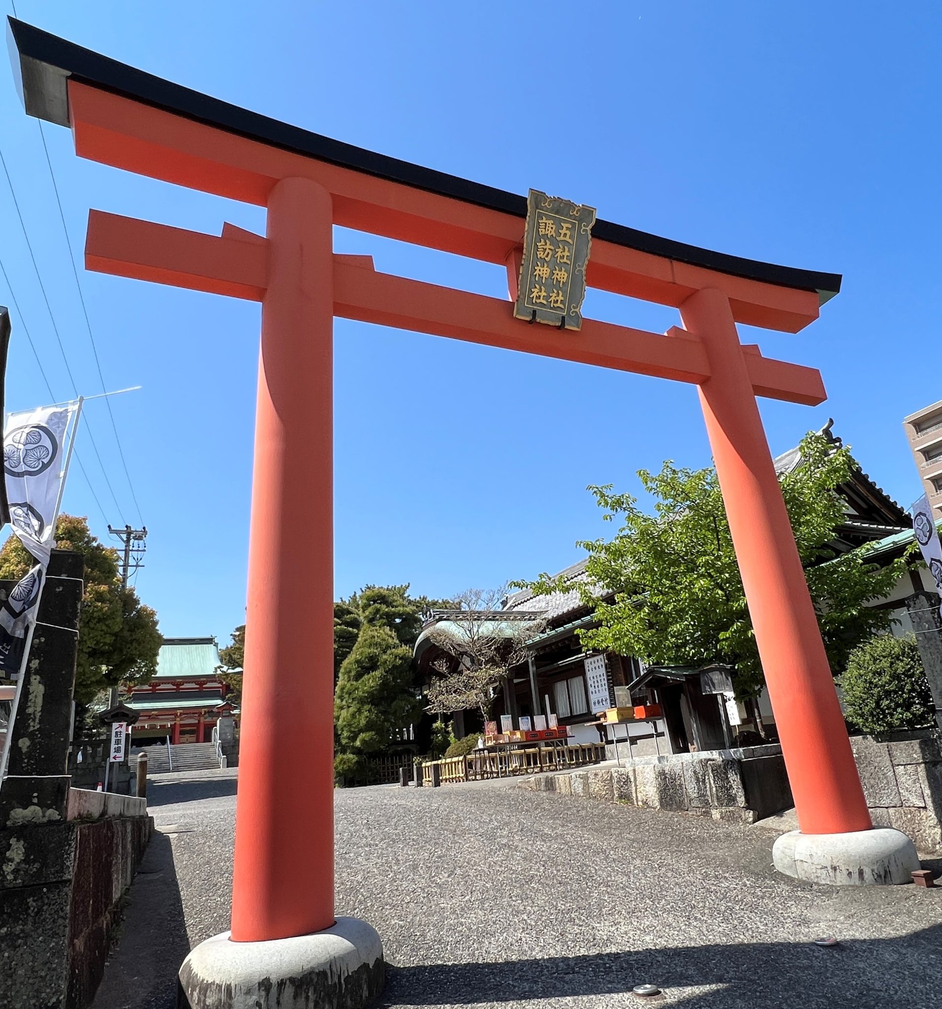 鳥居みゆきの奇跡の一枚が美女すぎた！歴代最高傑作の秘密と現在の素顔