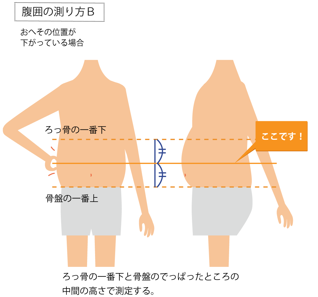 腹囲の正しい測り方とおへそ位置の真実｜ウエストとの違いとメタボ基準