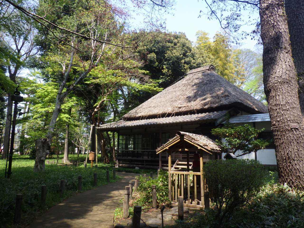 世田谷・蘆花恒春園の魅力を徹底解剖！文豪旧宅から花畑・ドッグランまで