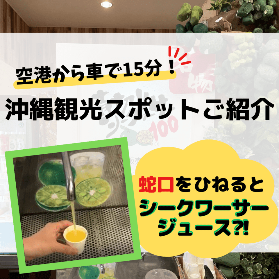 シークワーサーの効果的な飲み方！ノビレチンを活かす黄金比と飲むタイミング