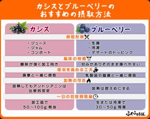 なぜ「ブルーベリー・ナイツ」は夜を明かす若者のバイブルであり続けるのか？2026年、マカロニえんぴつの名曲歌詞を深掘り解剖