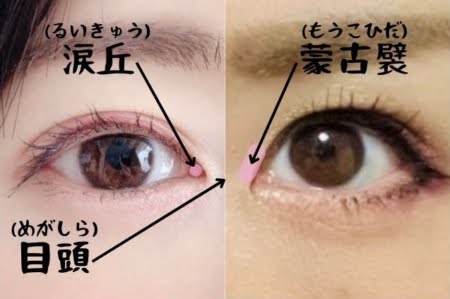 【プロフィール】 蒙古 襞 可愛い 人 公式インスタ・X最新情報 #718