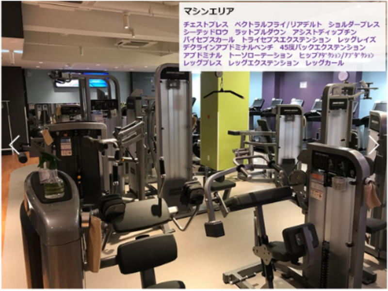 キングダム廉頗の真の実力と史実の最期！伝説の大将軍を徹底解剖