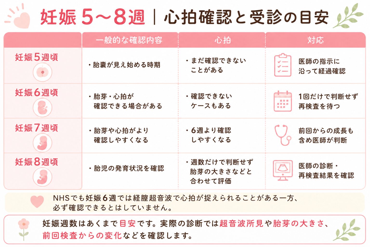 妊娠の心拍確認は何週から？見えない理由と確率・流産率の壁を解説