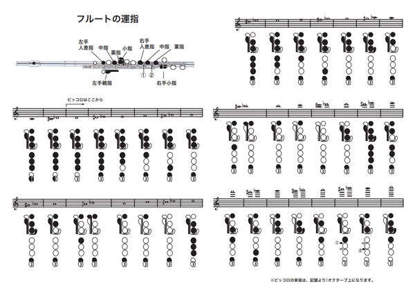 【2026年最新】フルートのトリル音律を完全攻略！音色と指の操作性を激変させる決定版ガイド