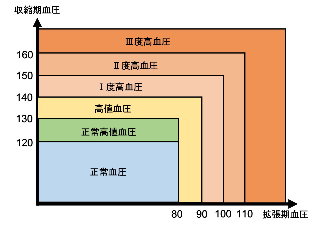 耳を引っ張るだけで血圧低下？自律神経を整える耳ツボ刺激の真実