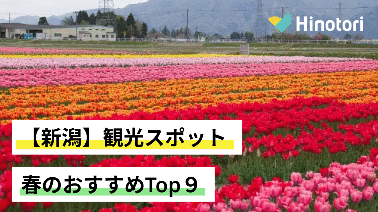新潟駅から小針駅の移動比較！Jr・バスの損益分岐点と混雑回避策