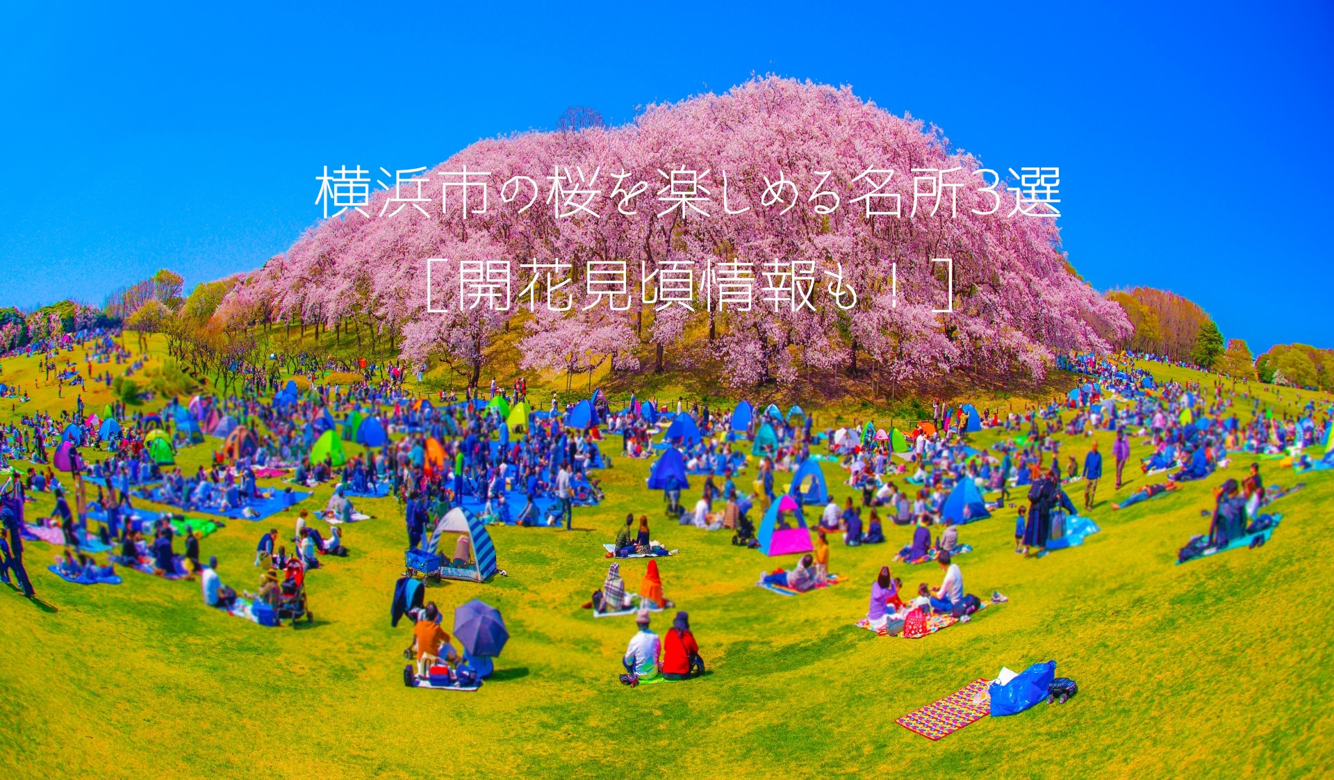 岩手県花巻市が注目される理由！名湯と大谷翔平・賢治の聖地巡礼