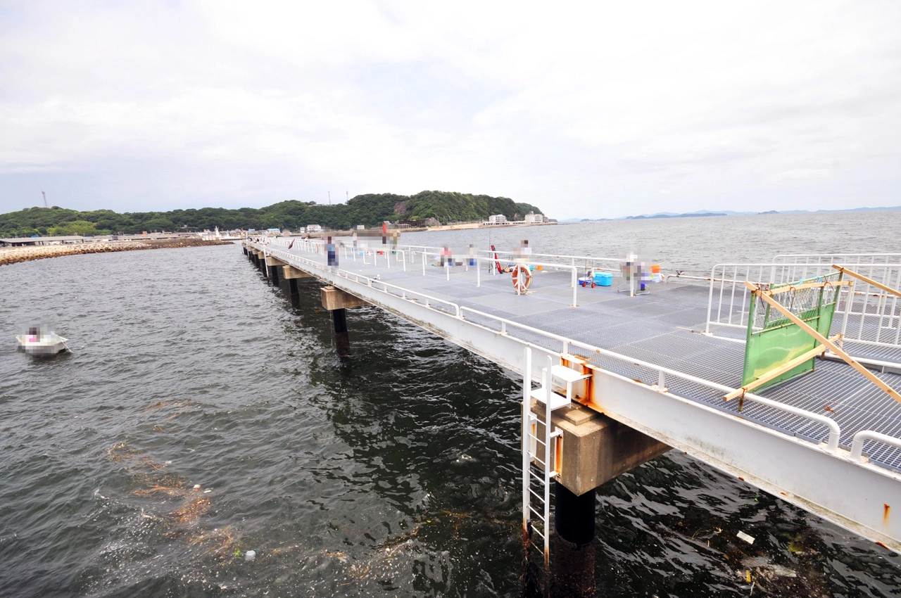 豊浜海釣り公園2026年版｜今すぐ使える釣果・混雑・駐車場の完全攻略ガイド