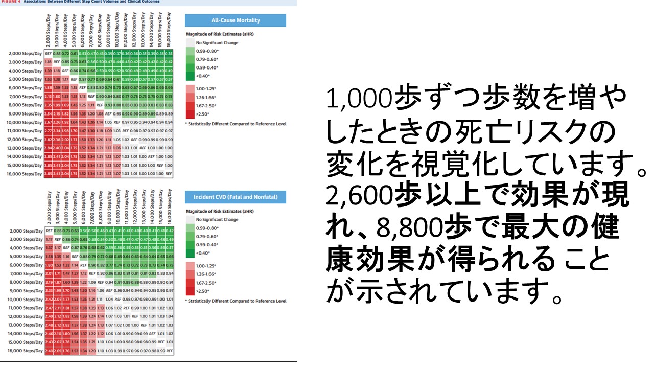 1日1万歩は歩きすぎ？最新研究が明かす理想歩数と健康寿命の真実