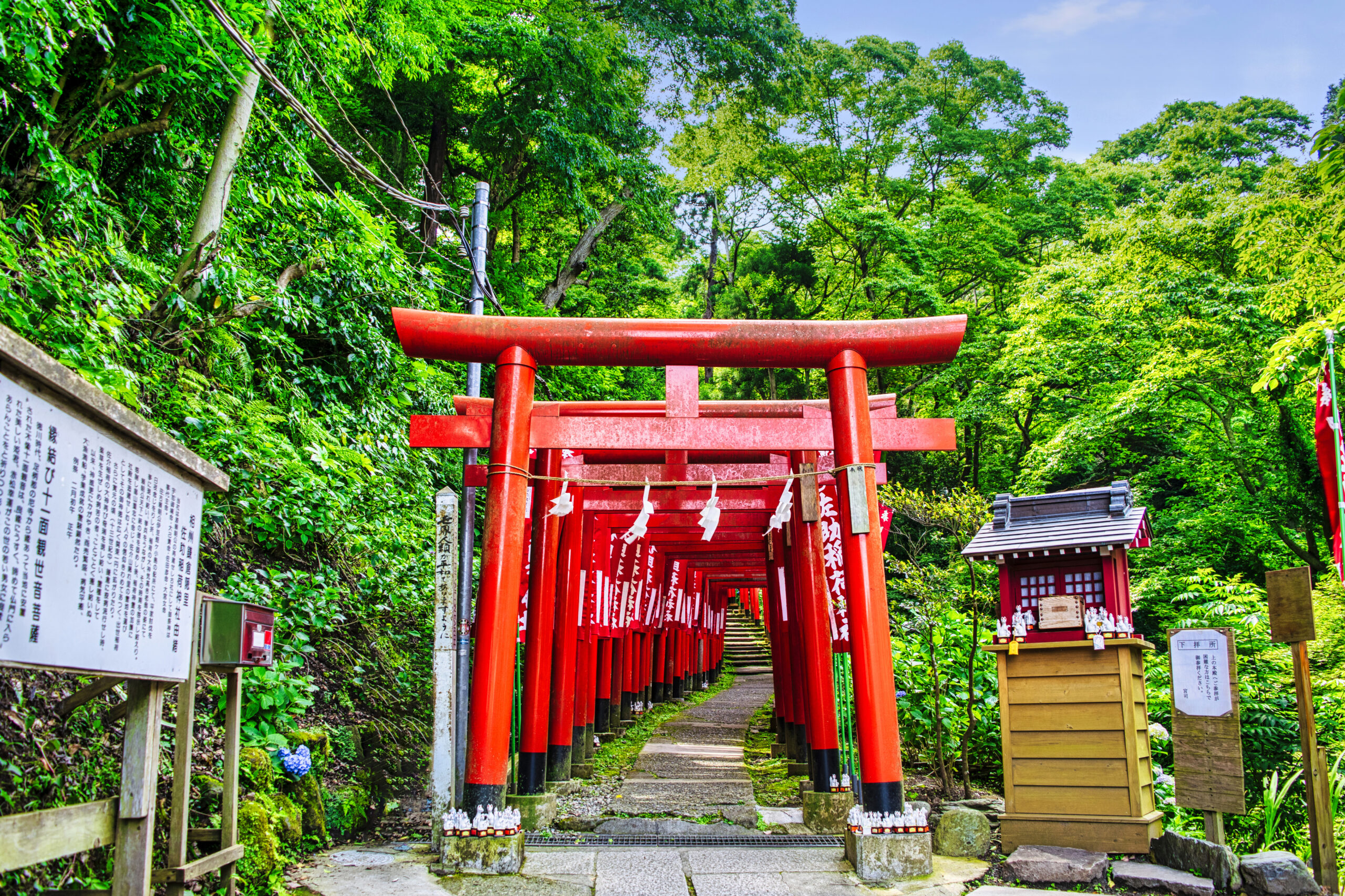 鎌倉・佐助稲荷神社が出世開運の聖地と呼ばれる理由と参拝ルート