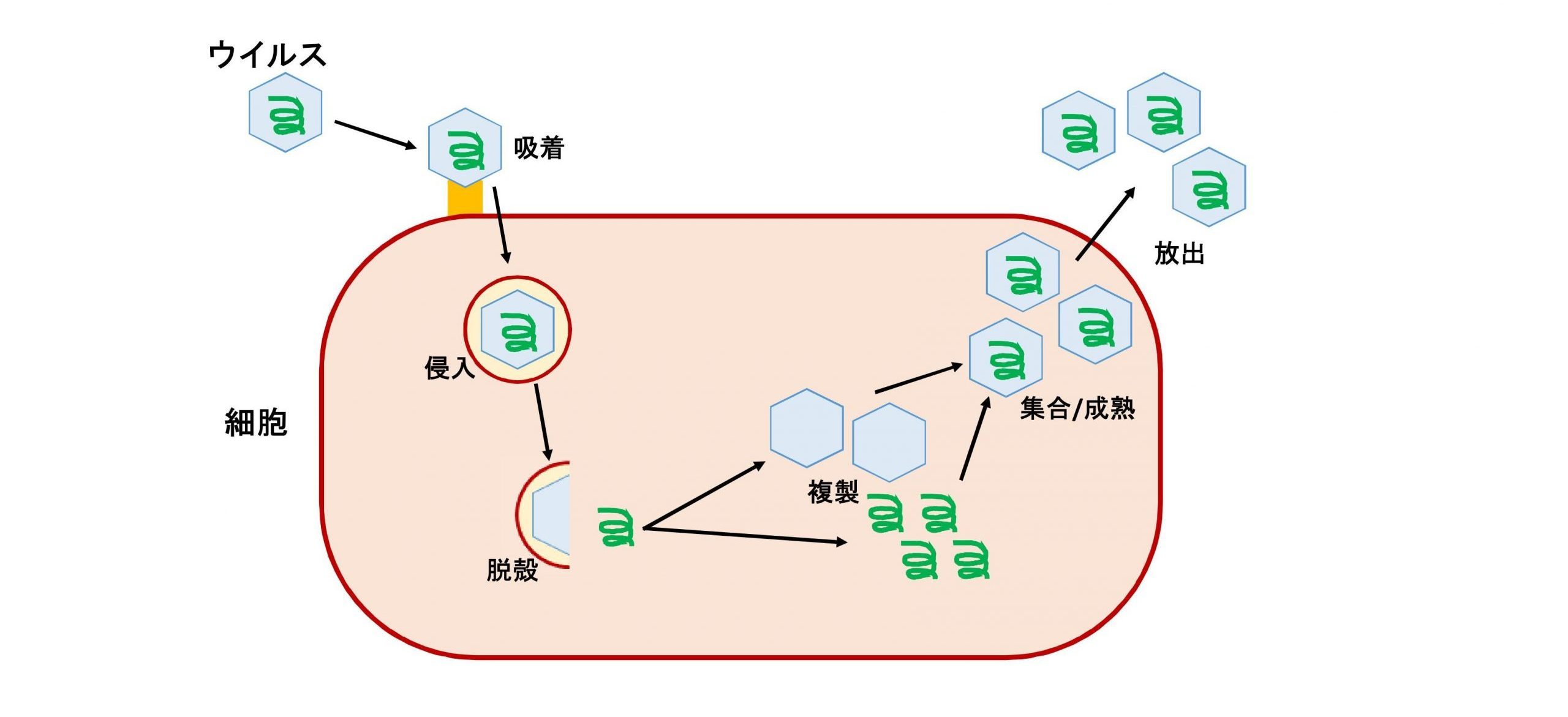 スマホのウイルスチェック無料診断と警告画面の真実【2026最新】