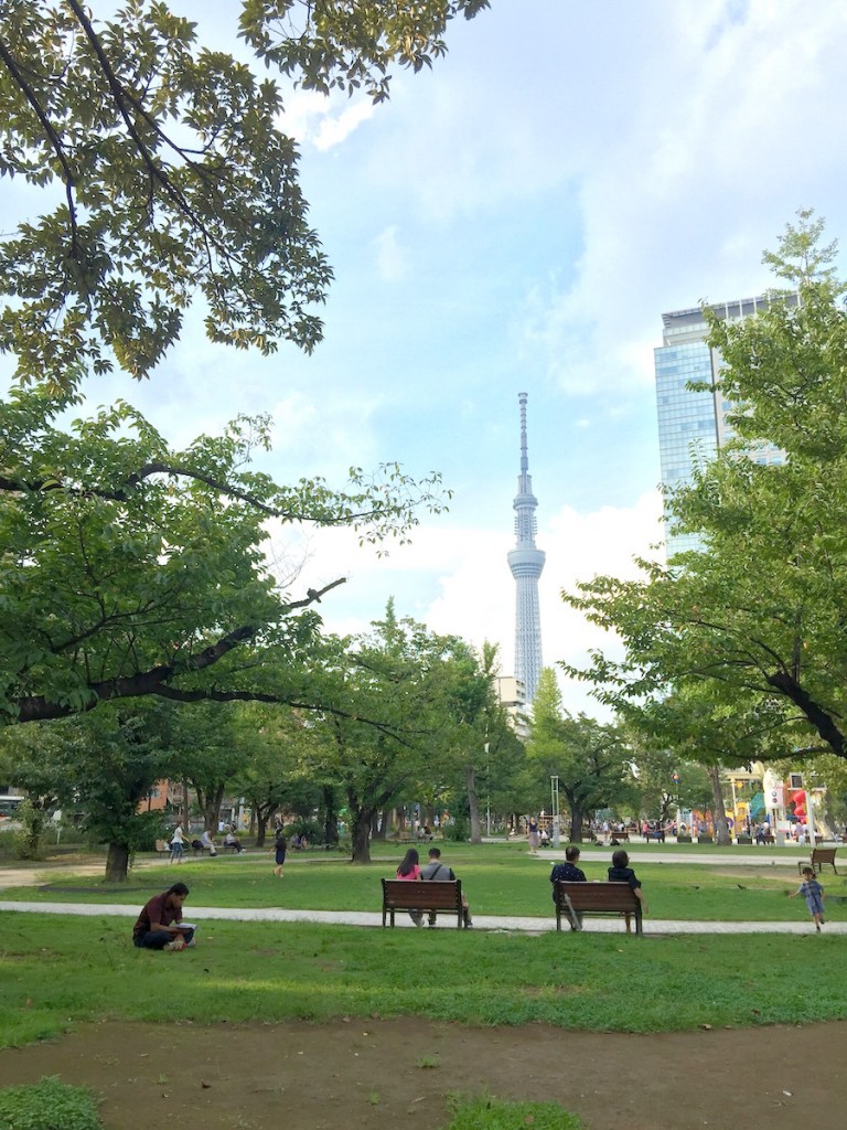 錦糸公園2026徹底ガイド！花見やイベント・遊具から治安の真相まで