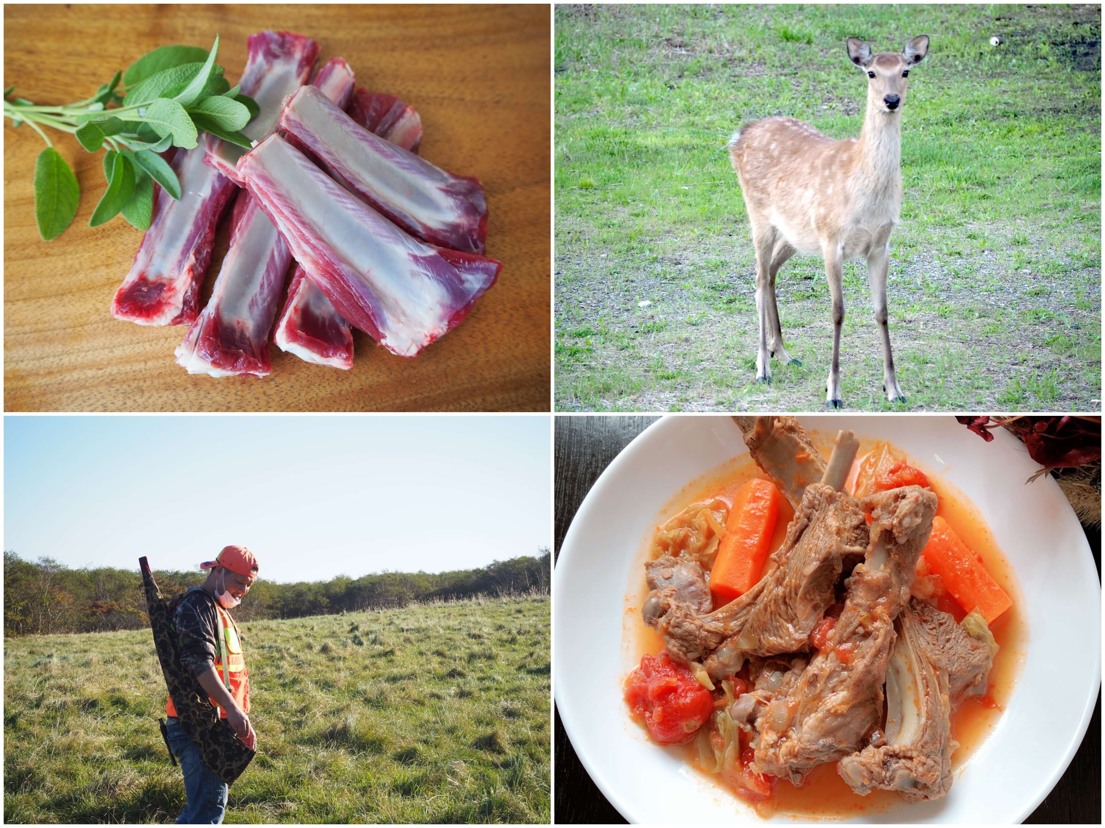 ジビエ肉とは？鹿・猪の栄養や臭み・寄生虫の真相と美味な食べ方解説