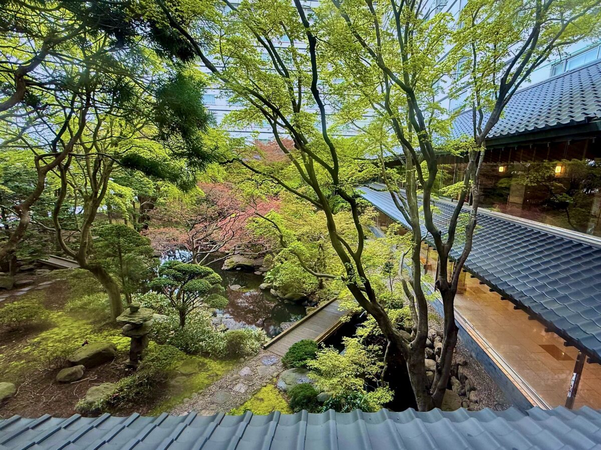 函館・湯元啄木亭の評判と口コミを検証！空中露天風呂と食事の真実