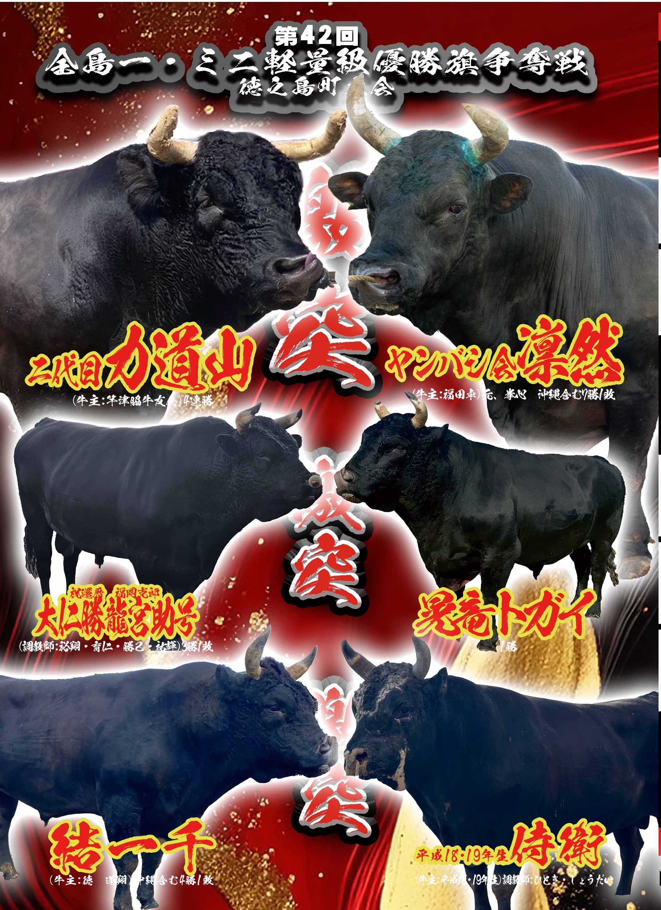 島を揺らす400年の咆哮！徳之島闘牛の熱狂と知られざる裏側