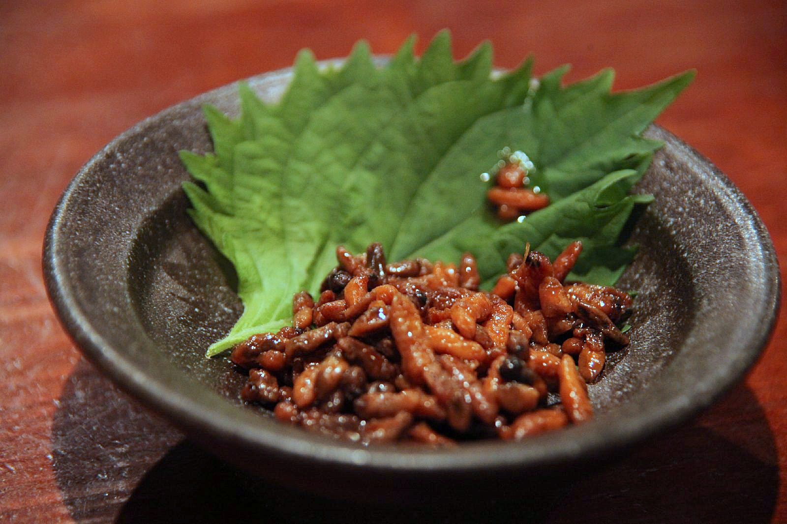 蜂の子の味は本当にまずい？クリーミーな食感と旨味の真相を徹底検証
