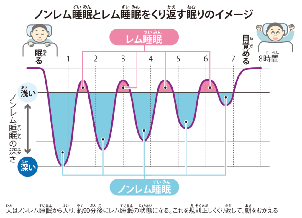 レム睡眠の危険ないびきとは？放置厳禁の病気リスクと劇的改善策