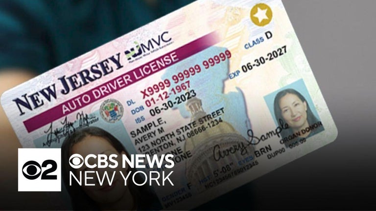 New Jersey Driver License Check