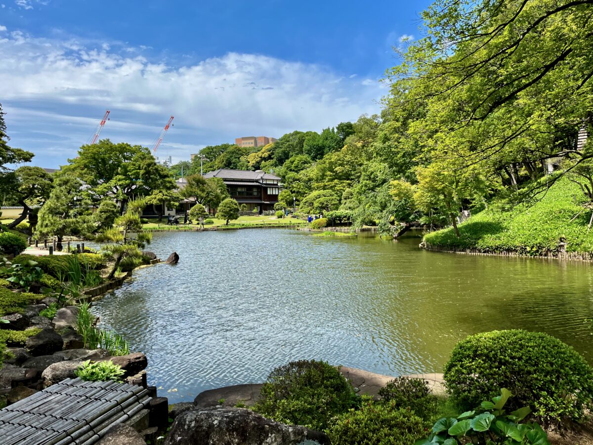 文京区「肥後細川庭園」無料の理由とは？松聲閣の絶品抹茶や紅葉を徹底解説