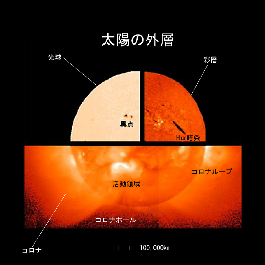太陽建機レンタルの評判と料金相場｜現場の口コミと2026年最新動向
