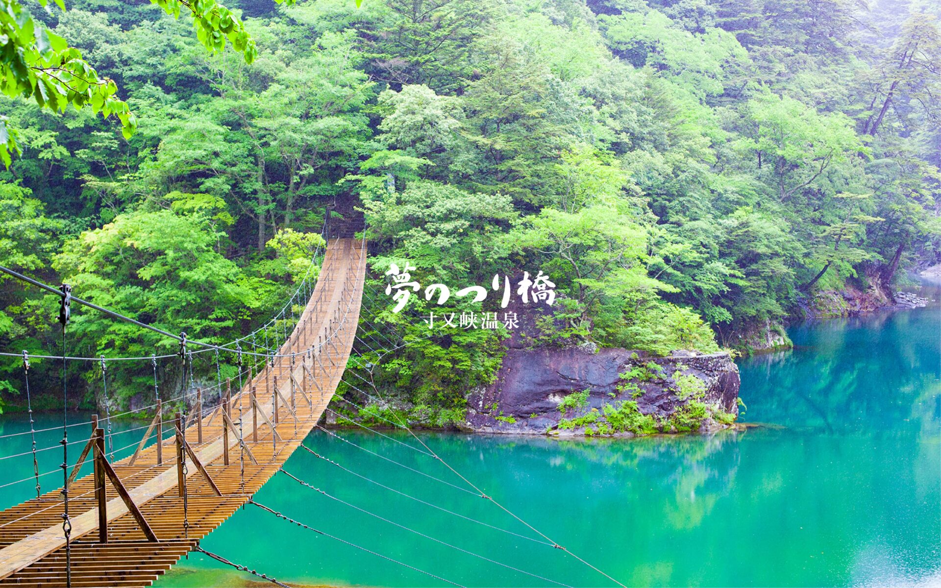寸又峡・夢の吊り橋2026最新情報｜混雑や噂の真相を徹底解説