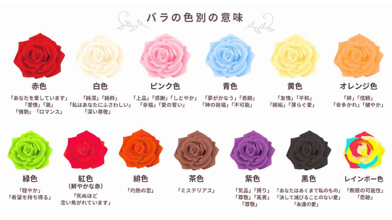 赤い薔薇の花言葉と本数の真相｜108本や怖い裏の意味まで解説