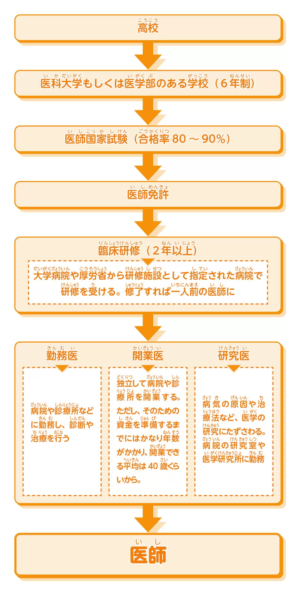 医師になるには何年？最短ルートと学費・偏差値の現実【2026最新】