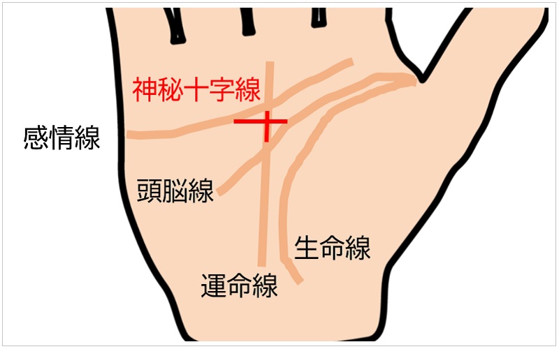 掌に刻まれた奇跡のサイン！神秘十字線が告げる直感力と守護の秘密