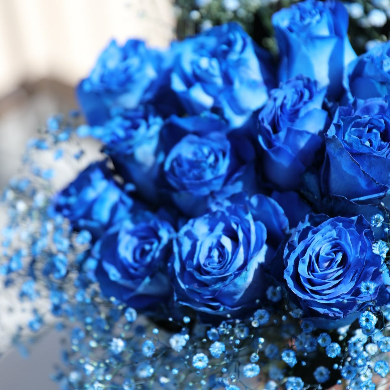 青い薔薇の花言葉は怖い？不可能から奇跡へ変わった真相と本数の意味