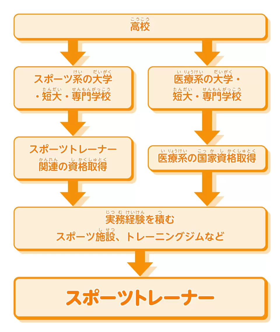 スポーツトレーナーになるには？無資格の罠と2026年最新年収・資格格差