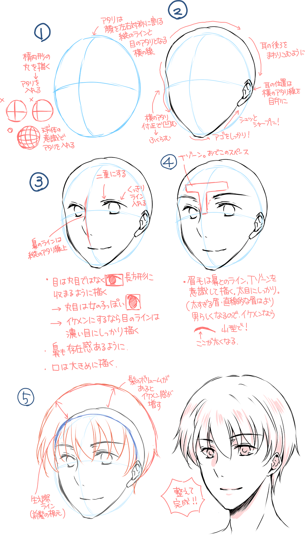 なぜ格好良く描けない？プロが明かすイケメンの描き方と顔の黄金比