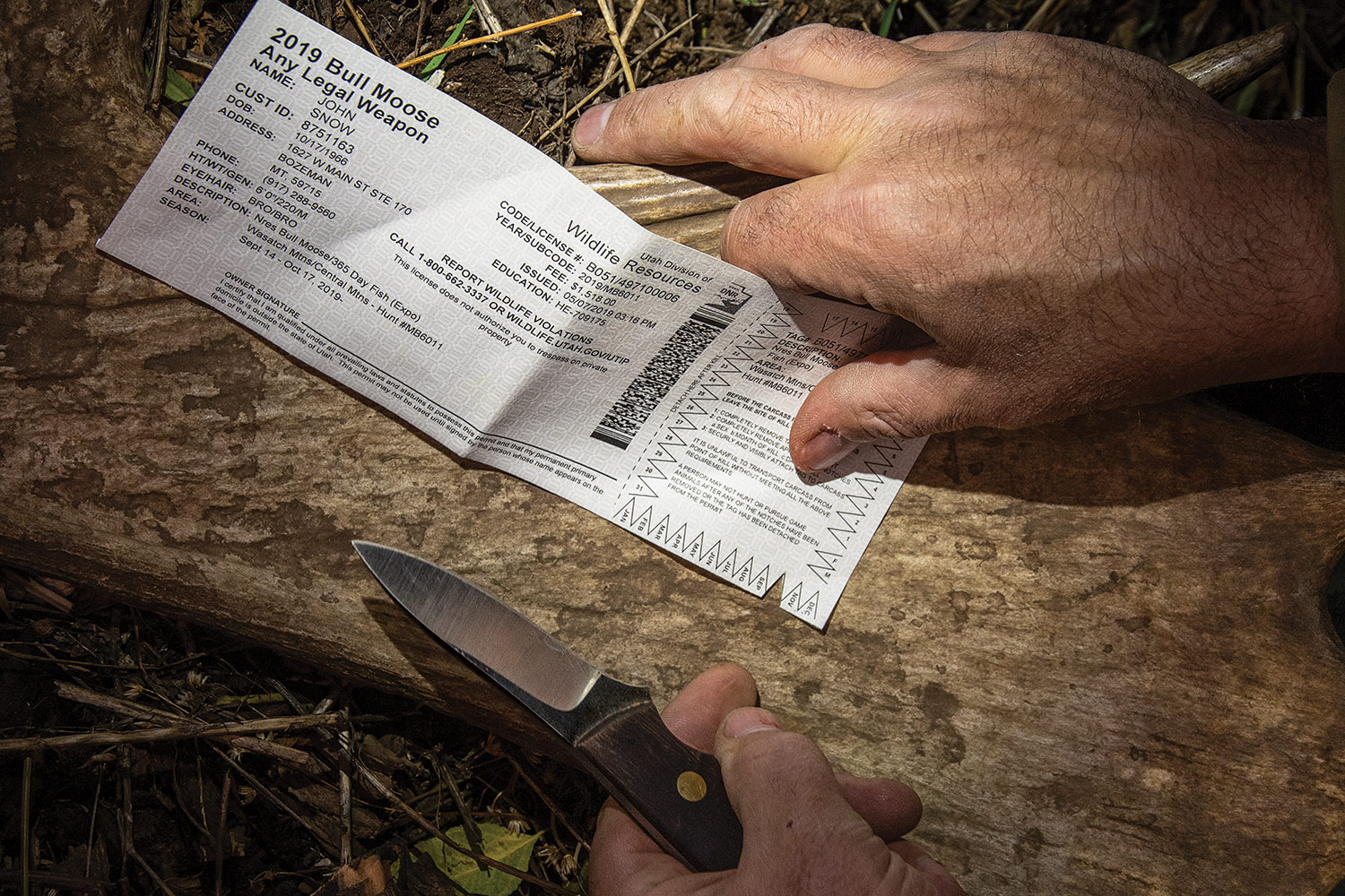 How Much Is a Non Resident Moose Tag in Alaska
