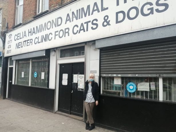 Celia Hammond Animal Trust Lewisham Way London