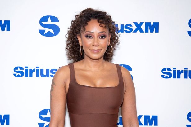 How Much Is Mel B Worth