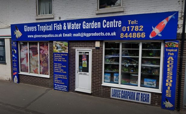 Glovers Tropical Fish Reptile & Water Garden Centre