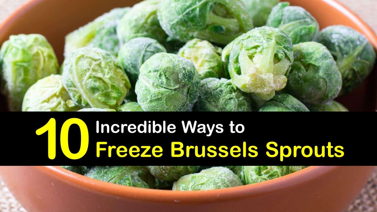 Can You Freeze Raw Brussel Sprouts