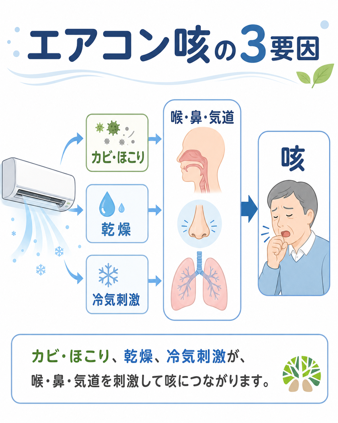 エアコンで咳が止まらない？喘息の元凶・黒カビの正体と2026年最新対策
