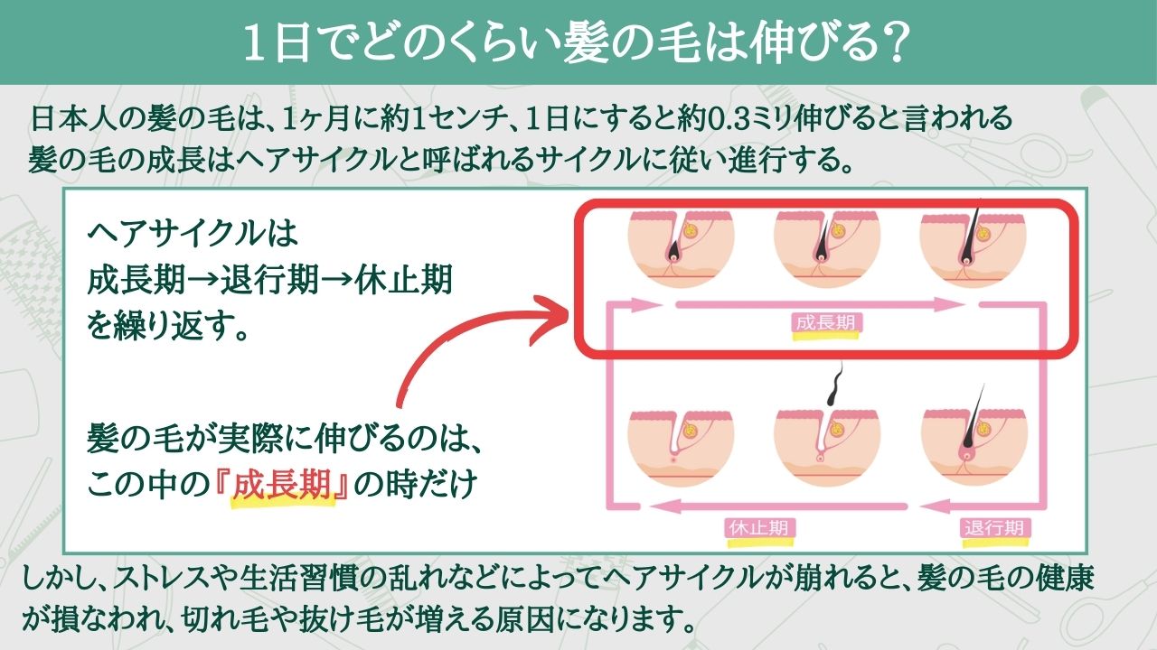 お餅をレンジでつきたて食感にする裏ワザと爆発を防ぐ温め時間の極意