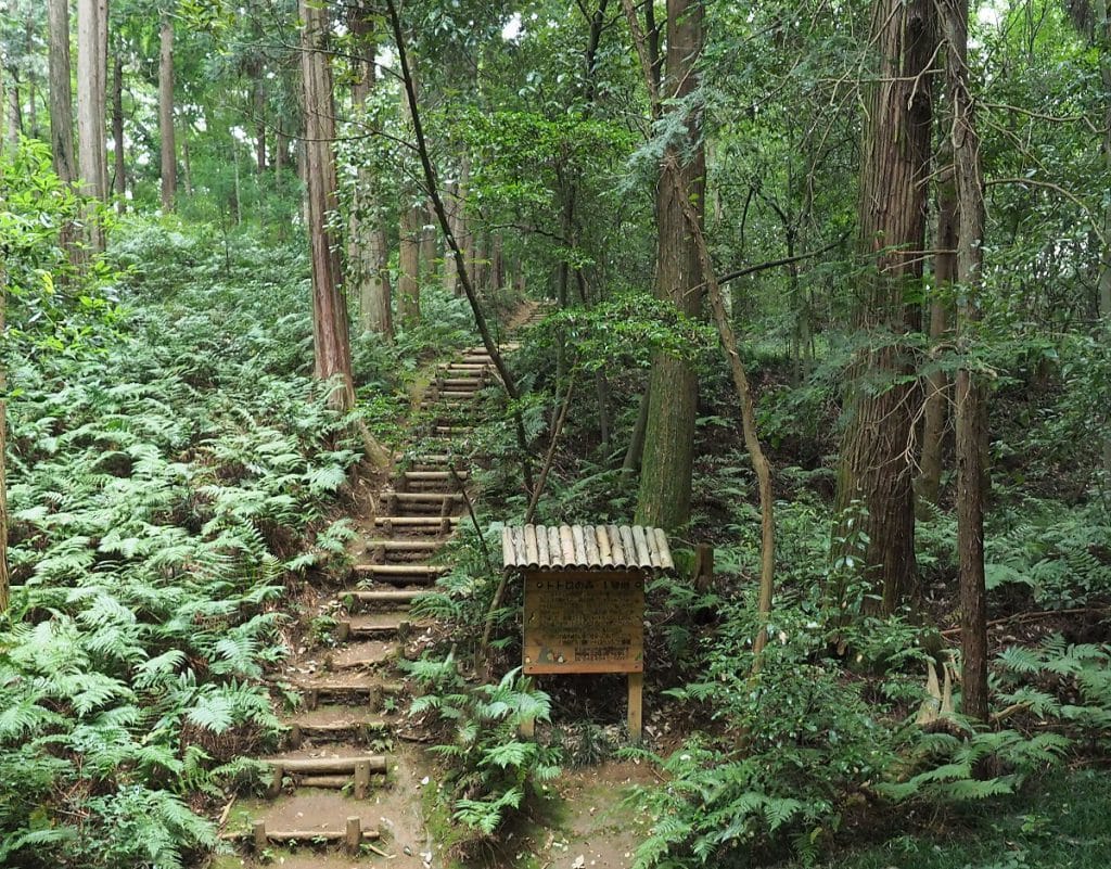 トトロの森のモデル地はどこ？狭山丘陵の見どころと散策ルート徹底解説