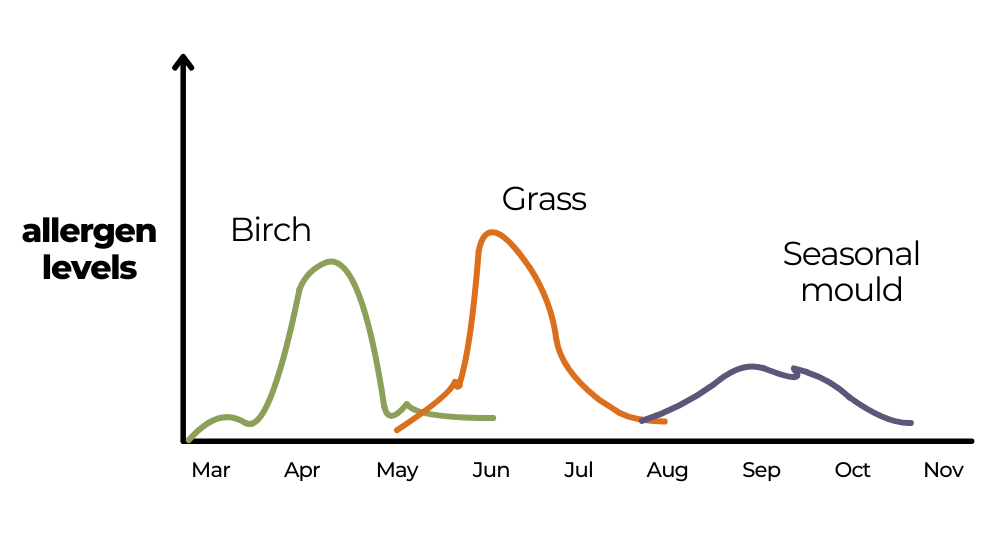 When Does Hay Fever Season End