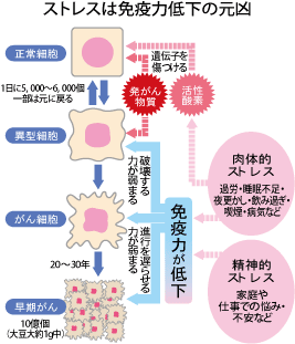 「以前」は当日を含む？含まない？契約書トラブル防ぐ基準と覚え方