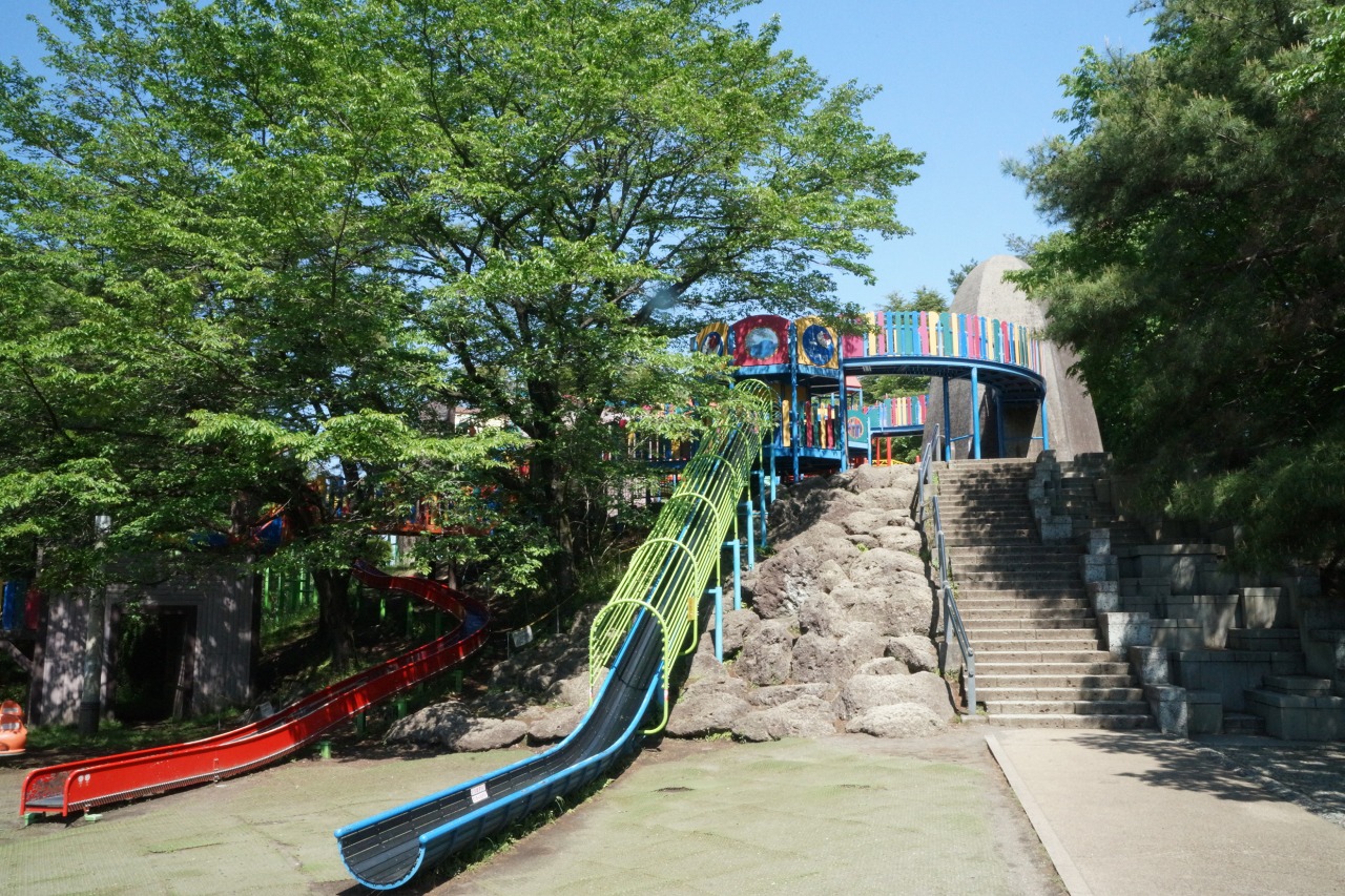 八幡山公園の完全攻略ガイド！タワーと吊り橋の絶景から混雑回避まで